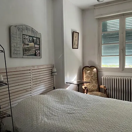 Vinsous 6
