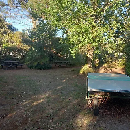 Semesterbostad Vinsous 6