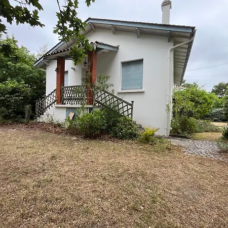 Vinsous 6