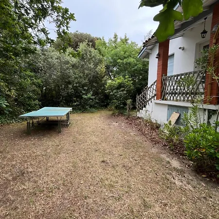 度假居 Vinsous 6 *
